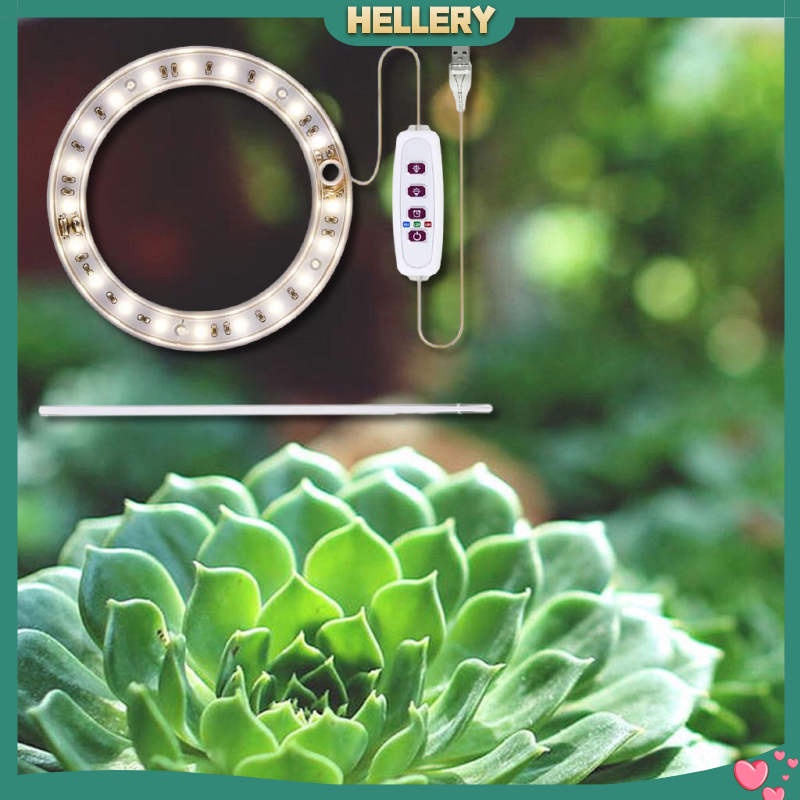 Đèn chiếu sáng giúp cây phát triển trong nhà tùy chọn loại