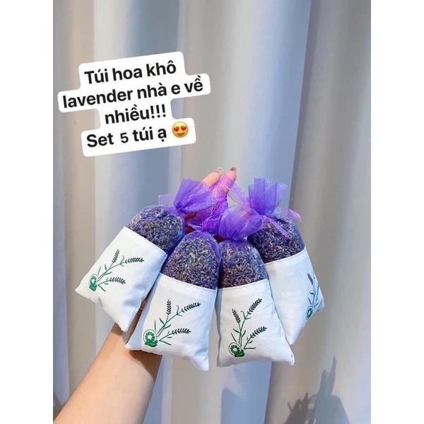 Set 5 Túi Thơm Hoa Lavender Khô