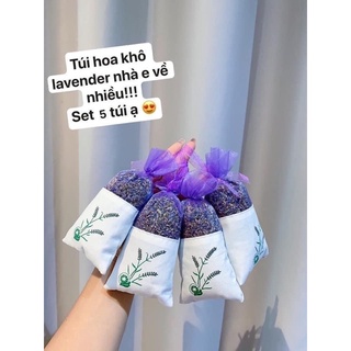 Set 5 túi thơm hoa lavender khô