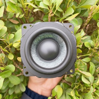 Loa toàn dải Sony XB 31 (Tháo máy)