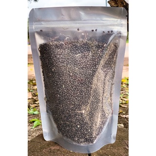 Hạt giống Sâm Bố Chính
