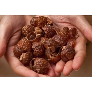 Bồ Hòn tách hạt 1kg