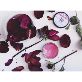 Son dưỡng Smith’s rosebud salve hộp thiếc