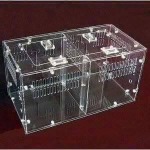 Hộp Nuôi Nhện 40-20-20 Hai Ngăn tank tarantula