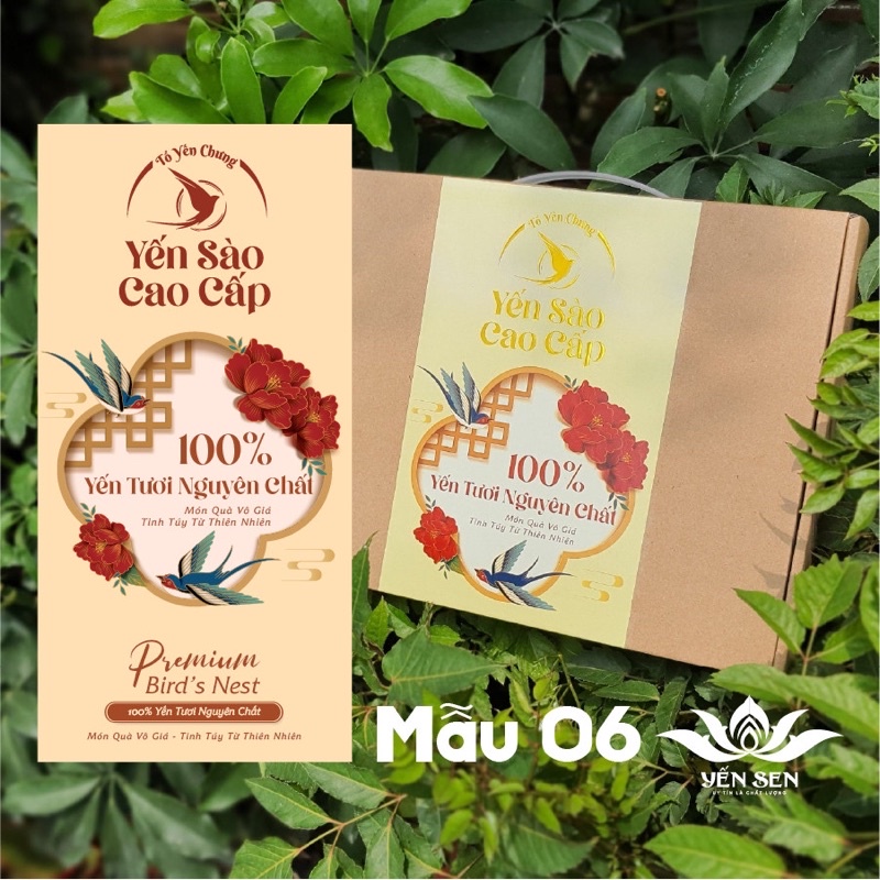 Hộp đựng 6 hủ yến chưng cao cấp mua từ 5 hộp còn 14.000đ/hộp tặng tem dán hủ miễn phí theo mẫu hộp xịn xò như video