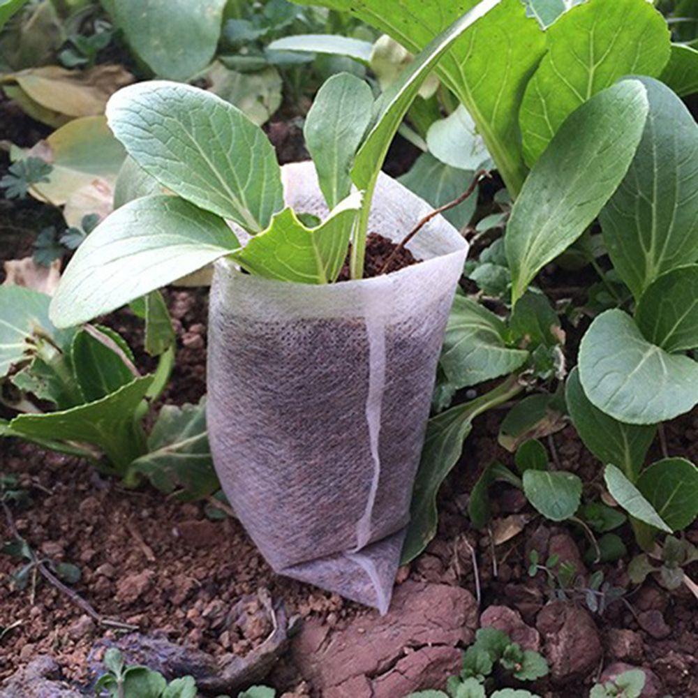 Bộ 100 Túi Trồng Cây Thân Thiện Với Môi Trường
