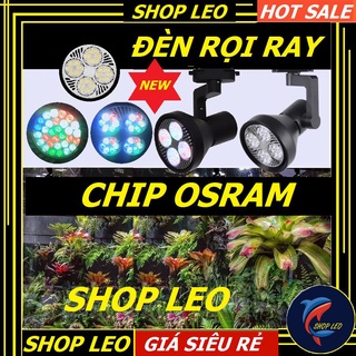 Đèn rọi ray (Chíp OSRAM) Cho cây bán Cạn - ĐÈN trang trí trong nhà - Chiếu sáng cửa hàng