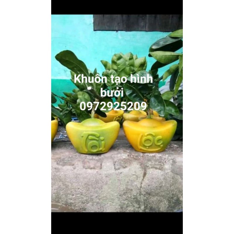 Khuôn ép hình  trái cây bưởi đào tiên .,dưa