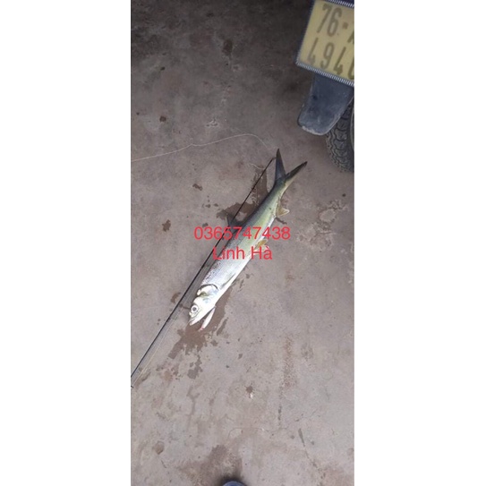 Mồi cá giả đuôi lông dài 9cm nặng 8cm câu chẽm,mú,ngão nhạy bén