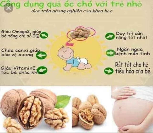 500g óc chó - hạnh nhân - mắc ca - bột cacao nguyên chất Đắk Lắc.