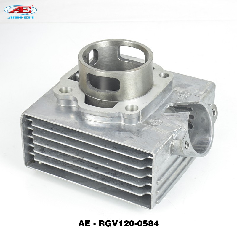 Lòng RGV    SUZUKI SPORT - SU XIPO - RG 110 - RGV 120 - SATRIA 2000