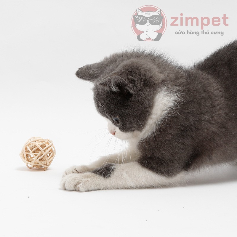Combo đồ chơi cầu cói cho mèo - Combo cầu cói gắn lông và bóng đan chuông cho mèo