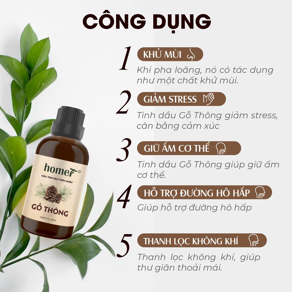 Tinh dầu Homer Gỗ Thông Trắng - Pine Essential Oil - đạt chuẩn chất lượng kiểm định