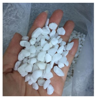 Đá Trang Trí chậu cây, tiểu cảnh(Size Vừa như hình, 700g)