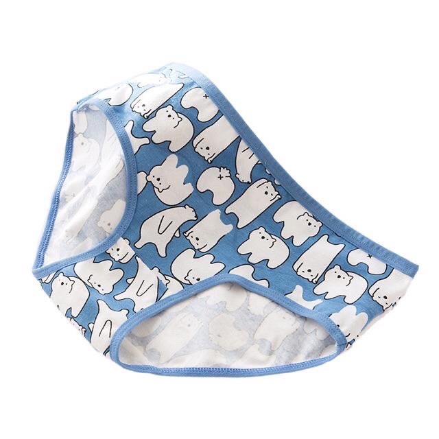 Combo 5 Quần Lót Cotton Nữ Họa Tiết Gấu Xanh Nhạt Siêu Cute Chất Liệu Thoáng Mát