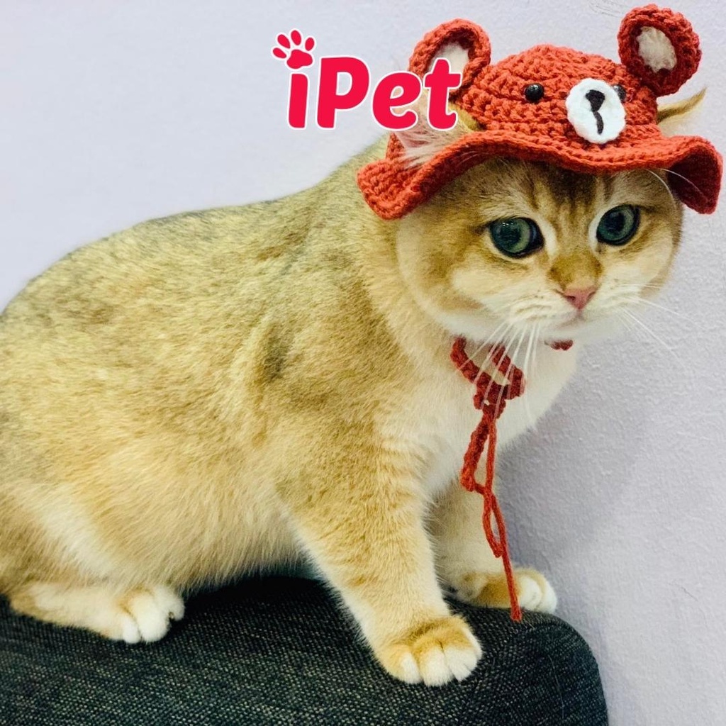 Mũ Nón Len Cho Chó Mèo - Yếm Dễ Thương Cho Thú Cưng - iPet Shop