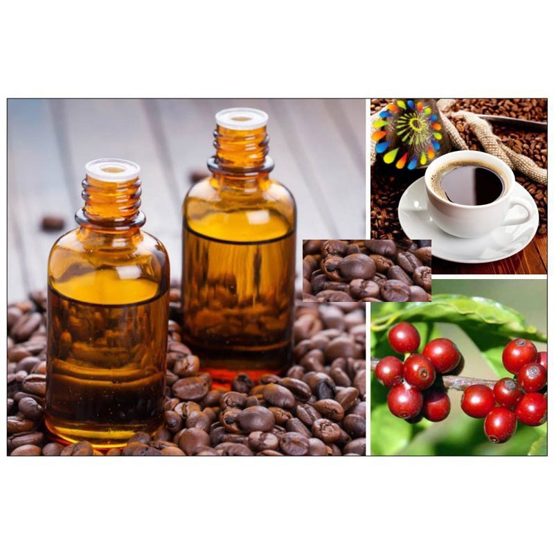 10 lọ 5ml Tinh dầu sả chanh, quế, tràm …20 mùi tùy chọn đuổi muỗi & phòng dịch cho bé FELA608610