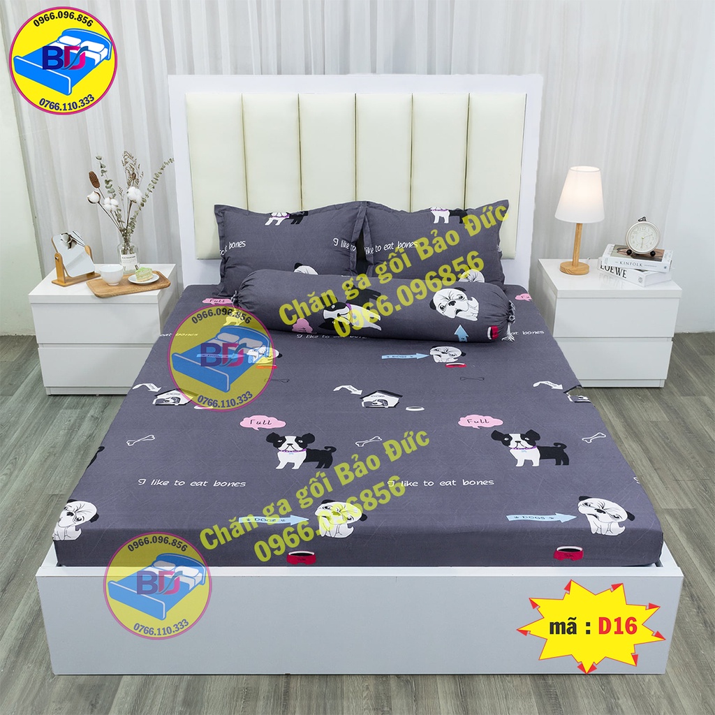 Set ga gối cotton poly ( gồm 4 món )