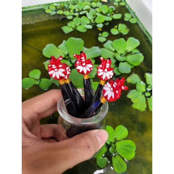 CÂY KÈ CÁ BETTA