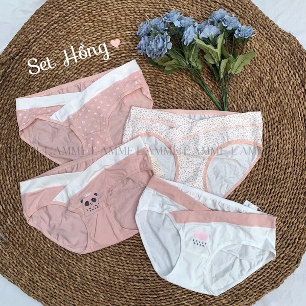 Set 4 quần lót bầu sau sinh cạp chéo cotton kháng khuẩn cao cấp, set quần lót bầu túi zip siêu đáng yêu