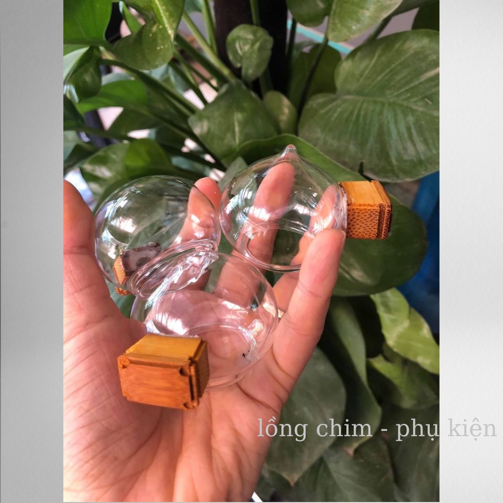 Cóng chim chào mào, họa mi( đủ bộ)  - Combo 3 cóng thủy tinh chào mào,họa mi kèm tai tàu cao cấp