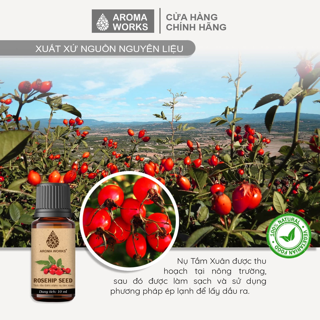Dầu Nụ tầm xuân Aroma Works Organic Rosehip Seed Oil dưỡng da, cấp ẩm, làm mờ da rạn nứt
