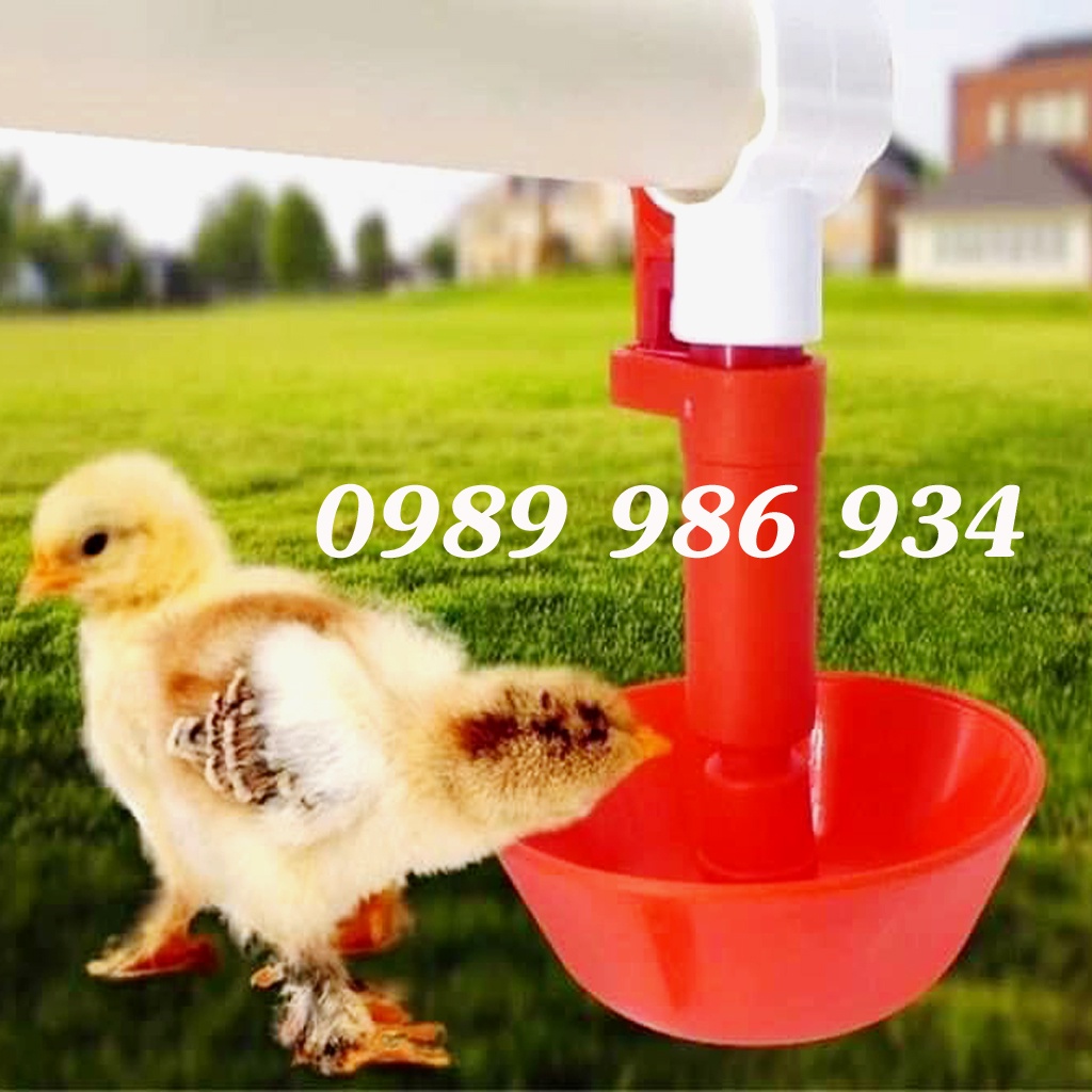 Máng uống tự động cho gà vịt dễ lắp và tiện dụng