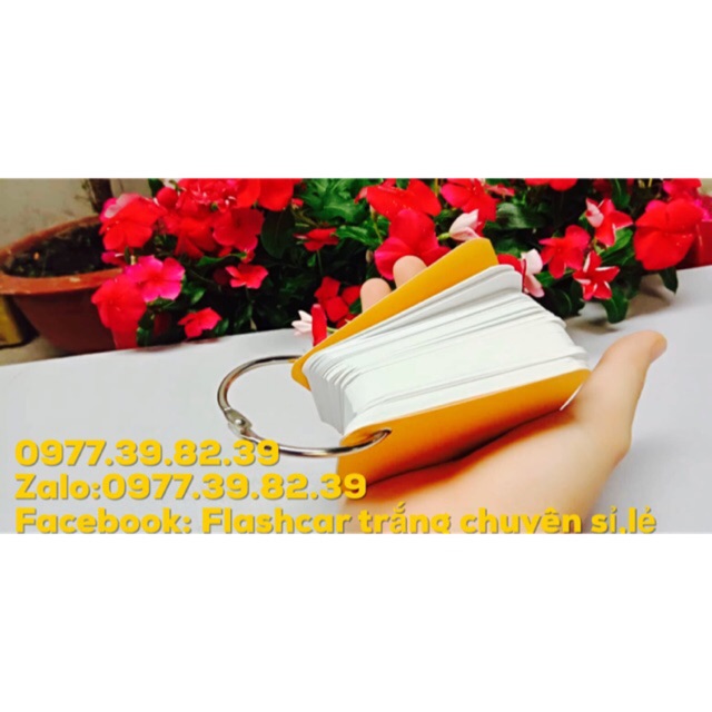 FlashCard 300 thẻ Học Từ Vựng Ngoại Ngữ Trung Nhật Anh Hàn Đức Đáng Yêu