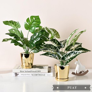 Chậu cây cảnh giả sáng tạo cho trang trí