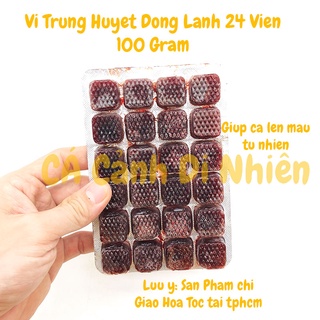 Trùng huyết 24 viên thức ăn đông lạnh cá cảnh loại tốt vỉ đỏ 100 gram - Trùn huyết đông lạnh
