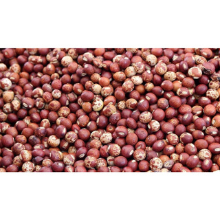0.5kg Hạt Đậu Săng ORGANIC ĐĂKLĂK (đậu chè, mộc đậu)