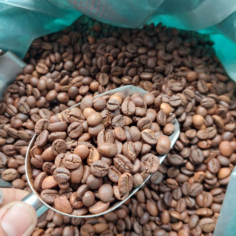 5kg Cafe Robusta nguyên chất Ban Mê Thuột