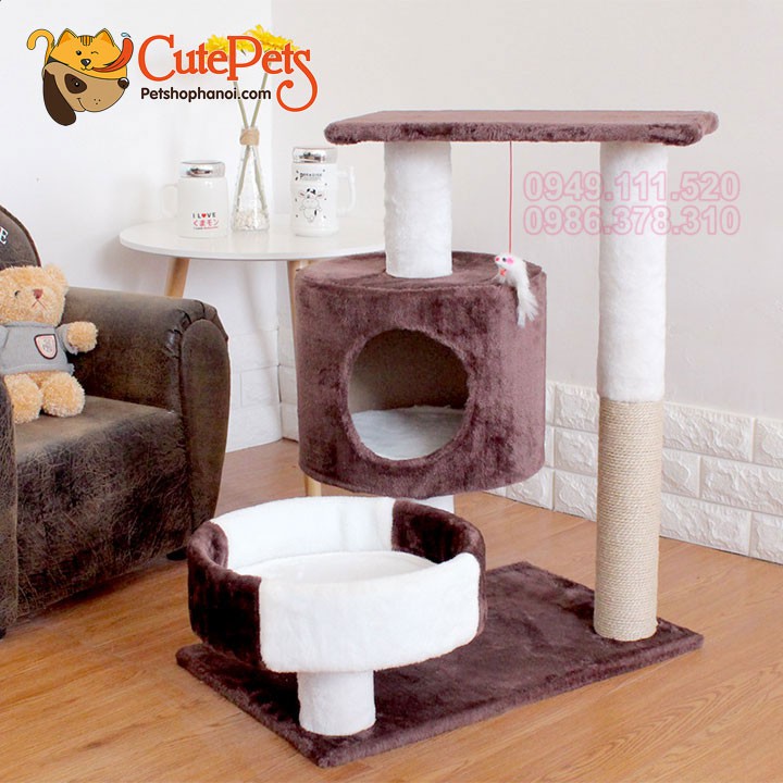 Nhà cây cho mèo Cat Tree 49x34x52cm Trụ cao móng dành cho mèo - Cutepets