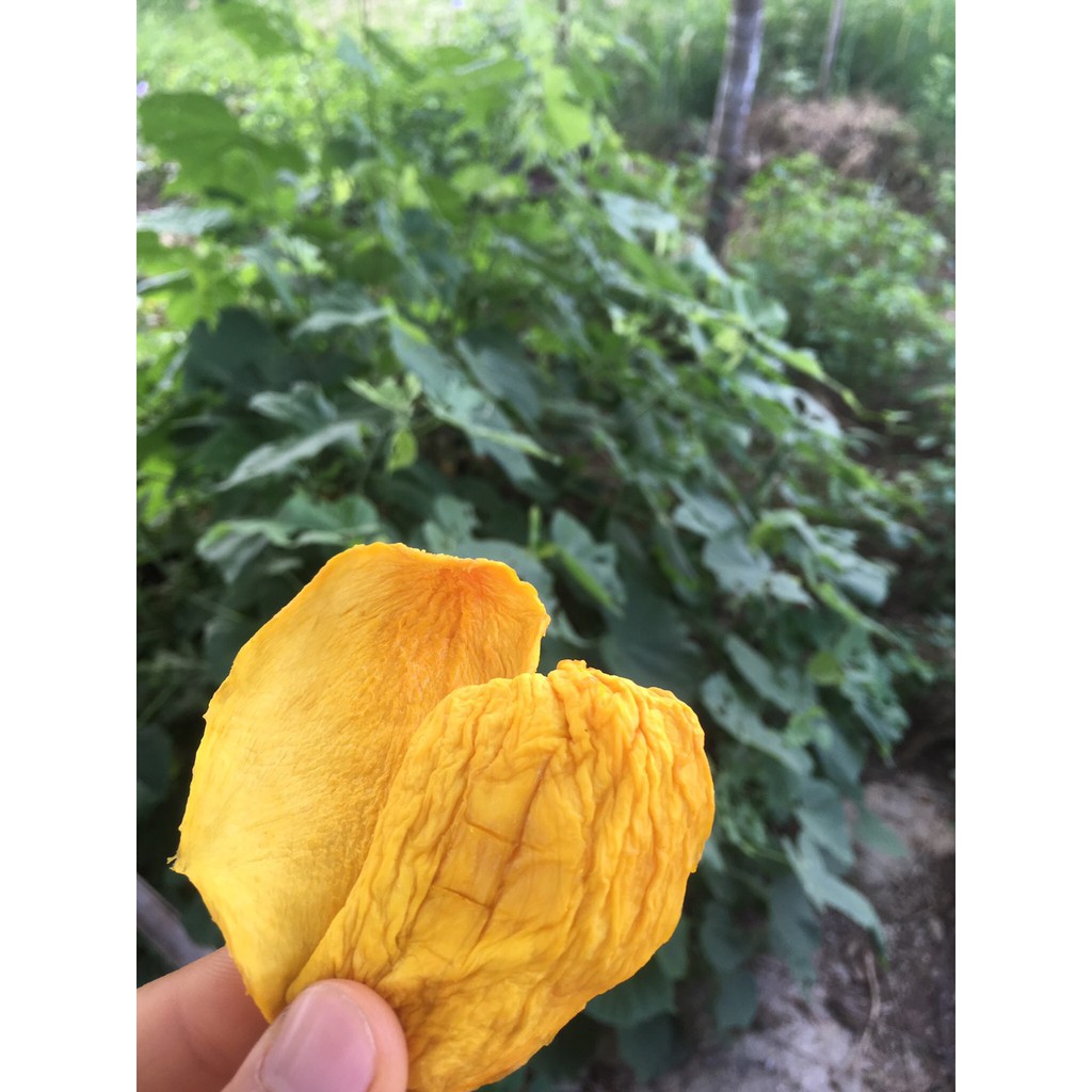XOÀI DẺO - 300G | BigBuy360 - bigbuy360.vn