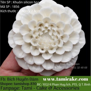 Khuôn silicon hoa cúc 1856