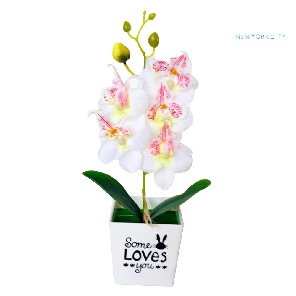 Chậu Hoa Lan Bonsai Giả Trang Trí Nhà Cửa