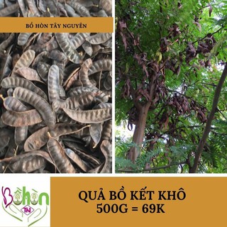 Bồ Kết Khô (Gội Đầu)