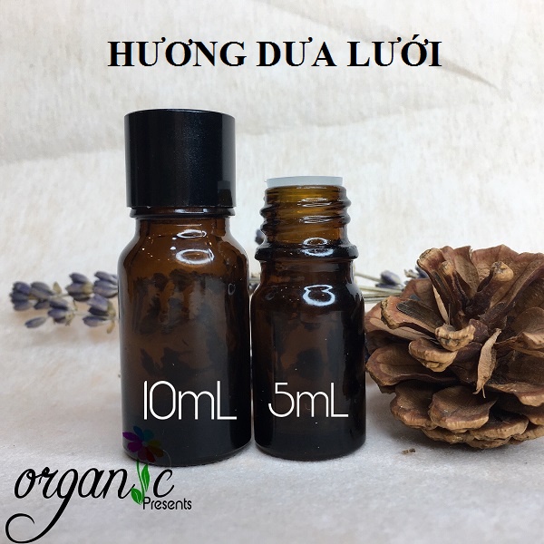 HƯƠNG DƯA LƯỚI