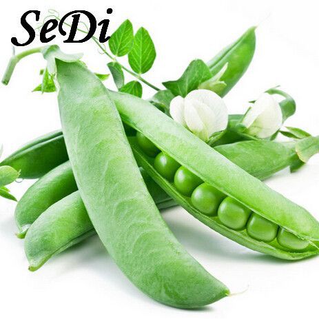 Hạt giống đậu Hà Lan - 10 hạt