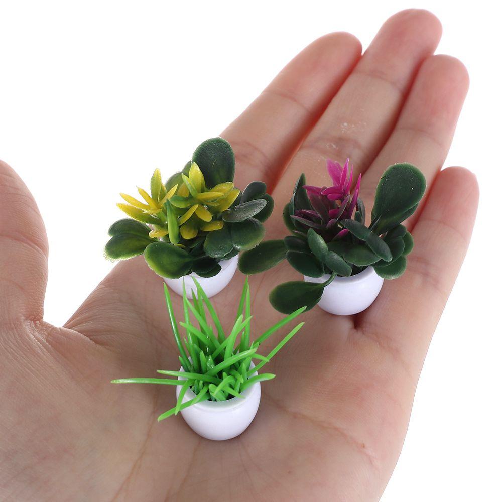 Bộ 5 Chậu Cây Xanh Trang Trí Nhà Cửa Tỉ Lệ 1: 12 3~4cm