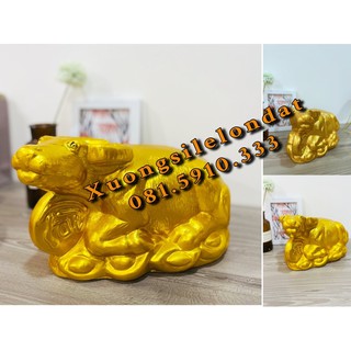 Trâu vàng thạch cao