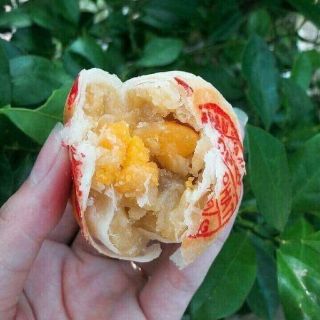 PÍA MINI CÔNG PHÁT MẪU MỚI