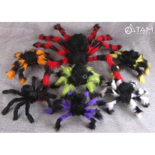 [HALLOWEEN-CÓ HỎA TỐC] Con nhện giả trang trí nhiều màu nhiều cỡ HLW-NHEN-01