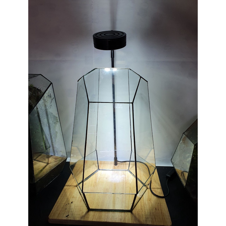 Bình thủy tinh terrarium tiểu cảnh bán cạn đa giác mẫu A2