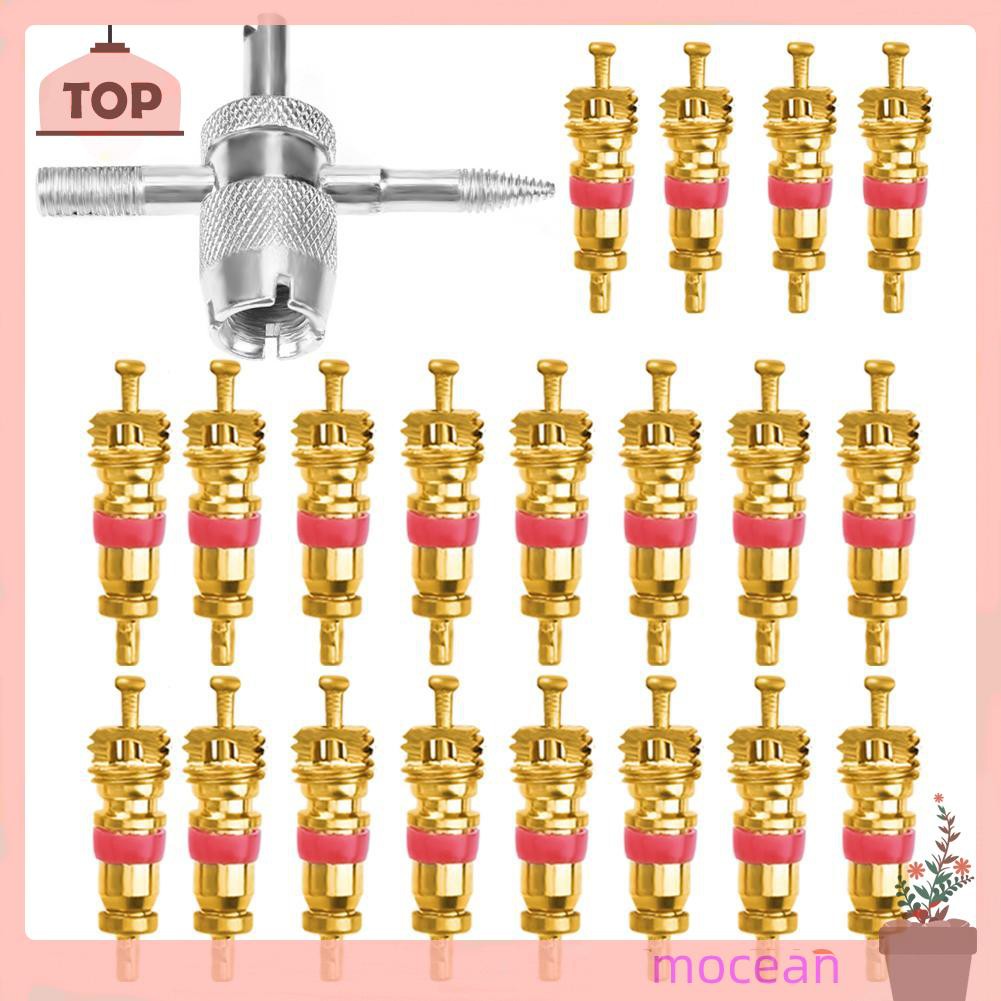 Bộ 20 Lõi Van Bánh Xe 4 Trong 1