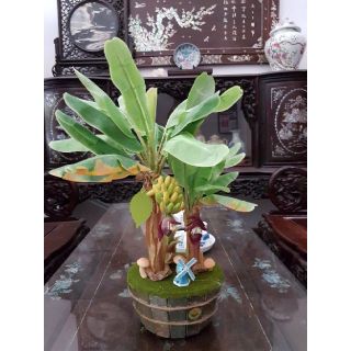 Cây chuối đôi mini để bàn