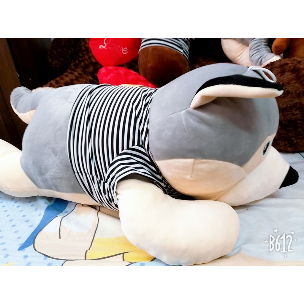 (GIÁ HỦY DIỆT) Gấu Bông Husky - Dễ Thương (2 Kích thước)