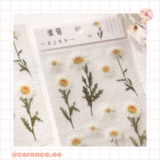 Sticker hoa lá thơ mộng trang trí
