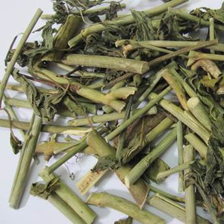 1 ký cây xương khỉ - bìm bịp phơi khô