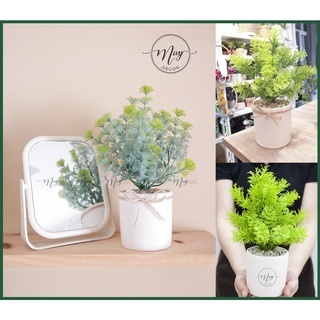 Cây giả, Chậu cây rong cụm đuôi chồn cao 20cm